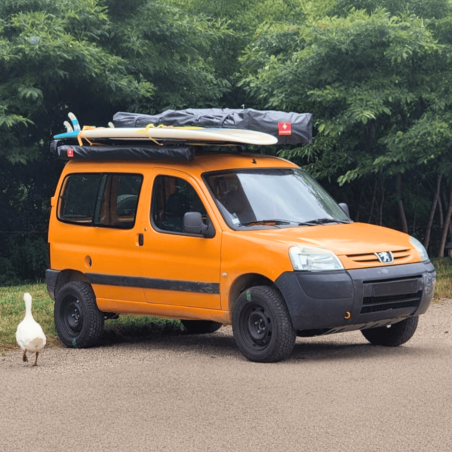 Toldo Swisskings para coches 2 x 2.5 m