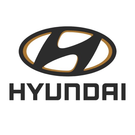 Schnorchel Hyundai