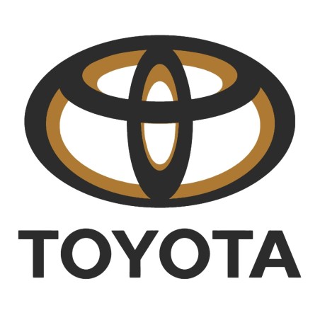 Schnorchel Toyota